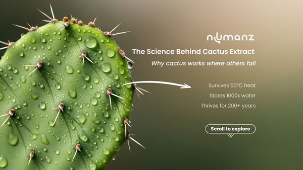 Macro close-up of prickly pear cactus pad with water droplets, featuring Numanz blog title ‘The Science Behind Cactus Extract’ and hydration survival stats overlay.