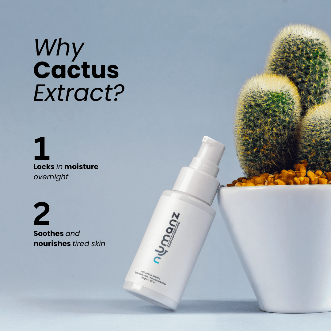 Numanz night gel with cactus extract to lock in moisture and nourish skin overnight