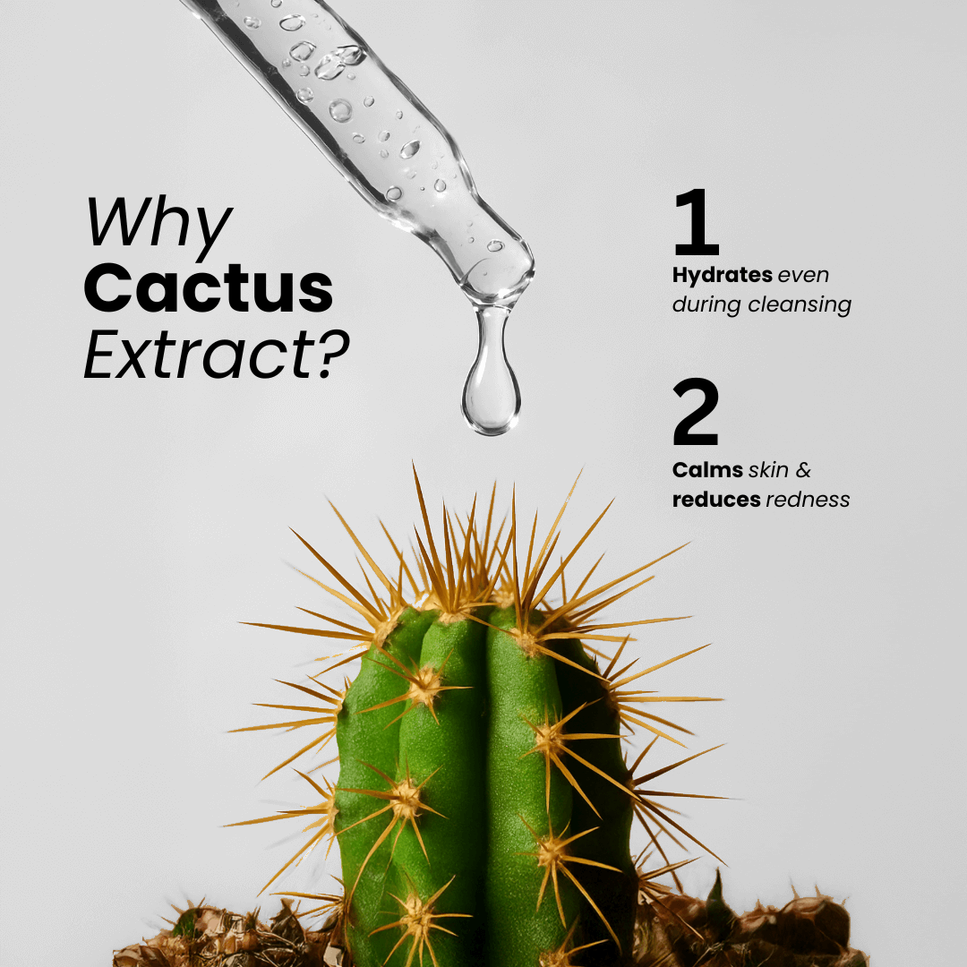 Numanz Face Cleanser with cactus extract for hydration and calming skin redness